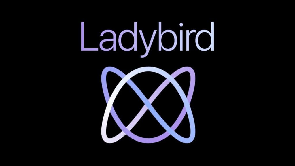Some concerns about Ladybird's bylaws